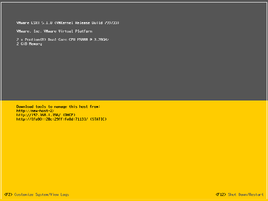 Console VMware ESXi