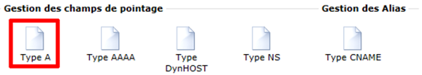 OVH Manager Zone DNS Type A
