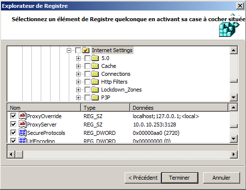 Registre Internet Settings