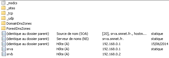 Serveur A Gestionnaire DNS