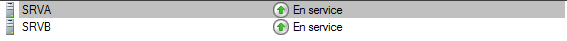 Serveur A noeuds en service