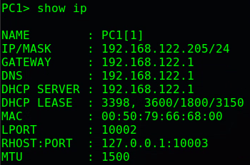 GNS3 VPCS show ip