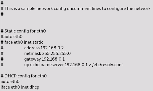 webterm-1 interfaces