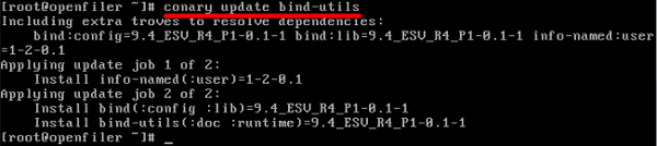 Openfiler Bind Utils