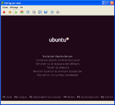 Ubuntu Server 10.04 LTS