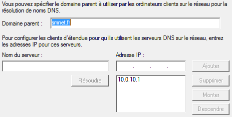 Option DNS