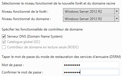 Windows 2012 Server R2 - Serveur DNS